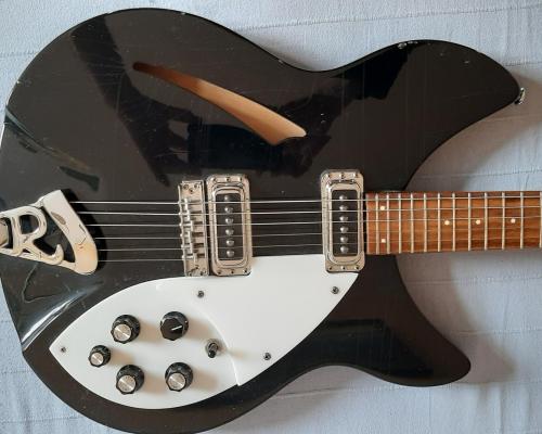 Rickenbacker 330 (2) (Copy)