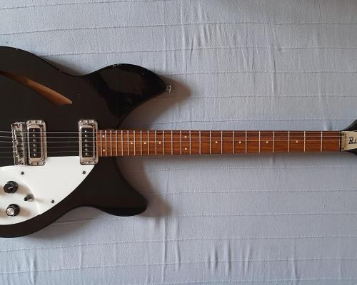 Rickenbacker 330 (1) (Copy)