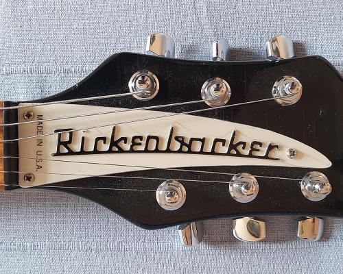 Rickenbacker 330 (4) (Copy)