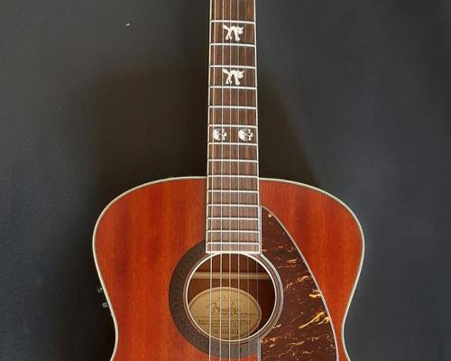 Fender Tim Armstrong (Copy)